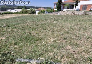 imagem_11