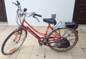 Bicicleta Sachs de coleo