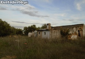 imagem_8