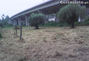 imagem_3