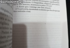 imagem_6