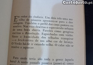 imagem_4