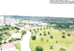 imagem_21