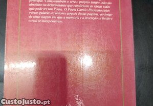 imagem_8