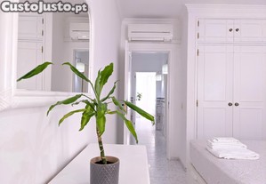 imagem_11
