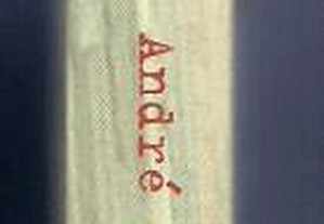 imagem_2