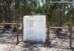 imagem_13