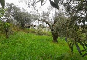 Terreno Rustico