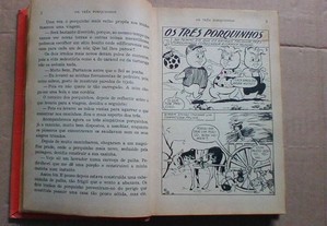imagem_6