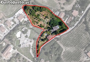 Quinta com dois artigos urbanos e um rstica com 5410 m2 junto  cidade de guimares
