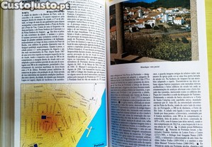 imagem_11