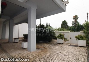 imagem_9