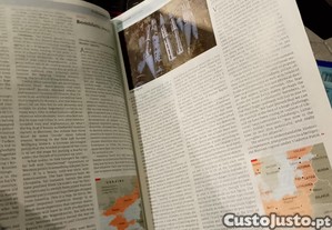 imagem_3