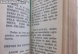 imagem_7