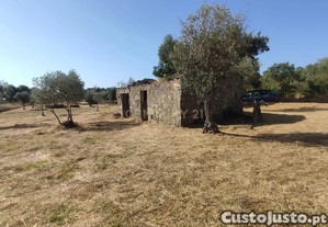 Terreno R�stico com 2250m2 na Lardosa, Castelo Branco