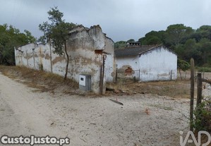 imagem_3