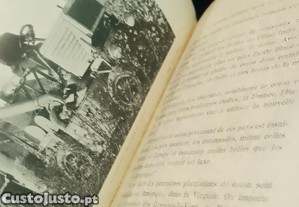 imagem_8