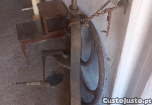 imagem_7