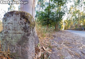Terreno Rústico Com 7.900 M2 Em Monte Córdova -...