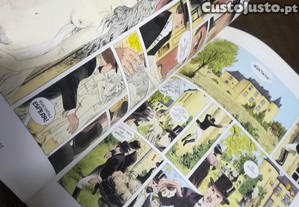 imagem_8