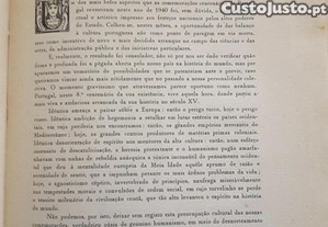 imagem_8