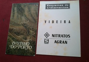 imagem_6