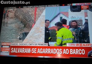 imagem_1
