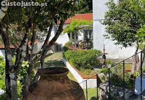 imagem_16