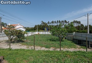 imagem_11