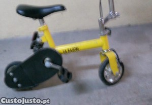 imagem_1