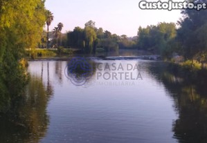 imagem_28