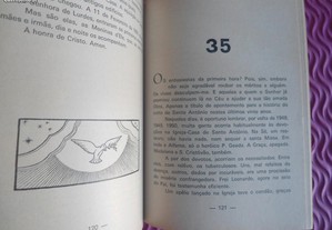 imagem_6