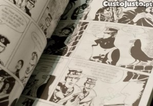 imagem_3
