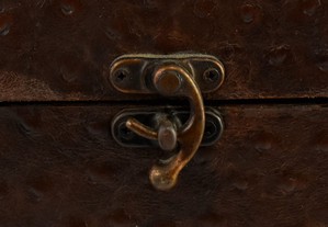 imagem_8