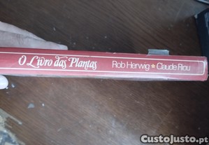 imagem_4
