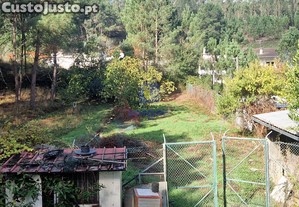 imagem_13