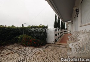 imagem_11