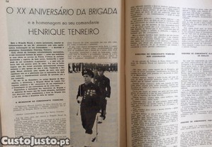 imagem_7
