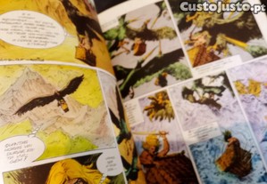 imagem_3