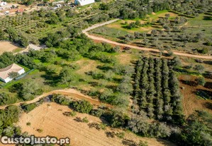 Terreno Rustico com 6400m2 em Boliqueime