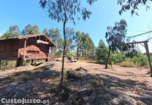 Terreno Florestal De 18600 M2 Com Vistas...