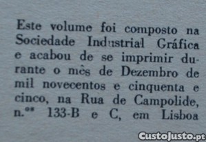 imagem_8