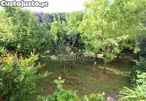imagem_23