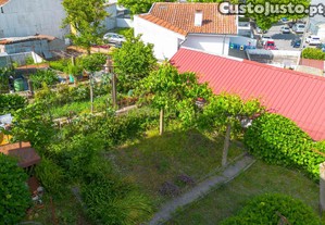 imagem_23