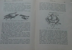 imagem_8