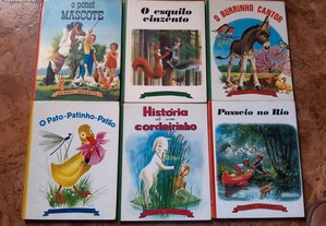 imagem_3