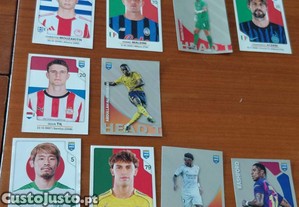 imagem_2