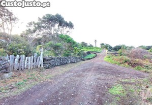 imagem_12