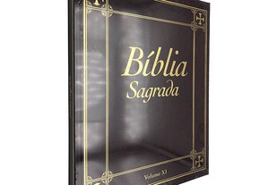Bíblia sagrada (Volume XI)