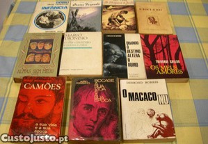 Lote de 2 livros